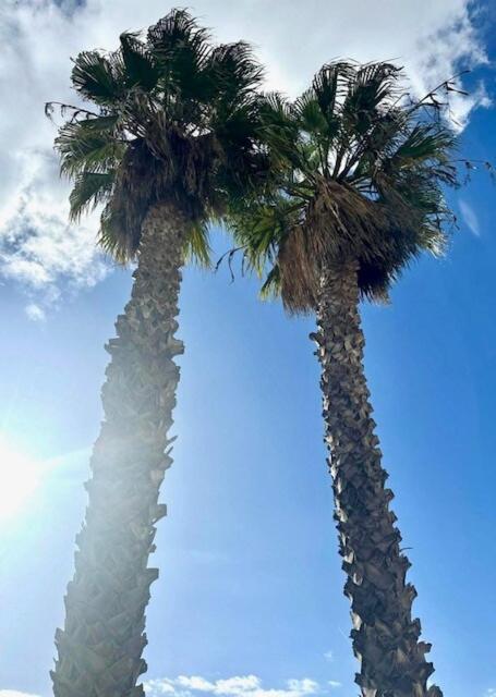 Nikkibeachfront Marbella