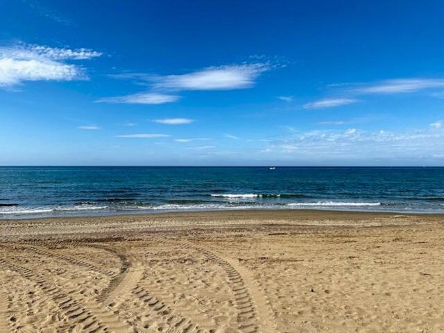 Nikkibeachfront Marbella